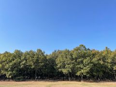 -东海森林温泉度假酒店