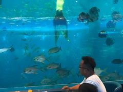 -瑞德姆美人鱼海底演艺主题餐厅(亚龙湾店)