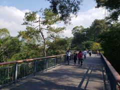-金鸡山公园
