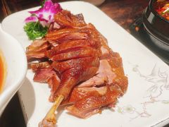 -陈麻婆豆腐(旗舰店)