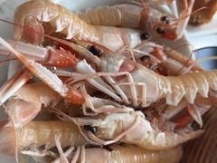 -半岛听涛蒸汽海鲜自助(K11店)
