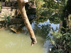 -小洲村
