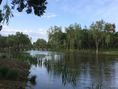 -东郊湿地公园