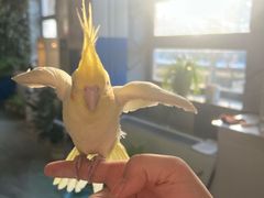 -南宫五洲植物乐园