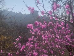 -崂山巨峰游览区