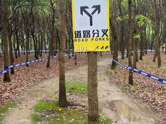 -嘉北郊野公园