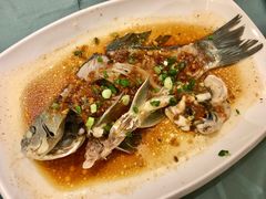 -沙龙酒家