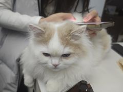 -联合动物医院(光谷诊疗中心)