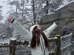 -洛阳白云山景区