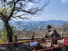 -灵岩山风景区