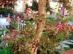 -聚福宝合苑食府(南头镇店)