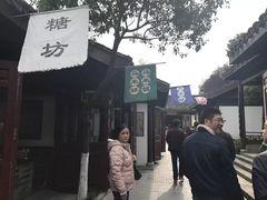 -天目湖山水园