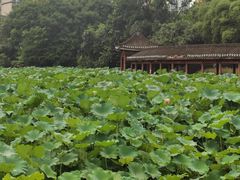 -龙头寺公园