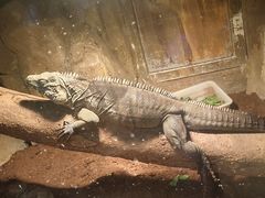 -济南野生动物世界