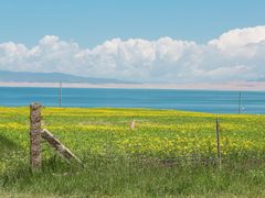 -青海湖国家重点风景名胜区