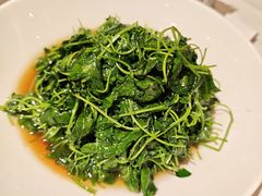 酒香草头-老吉士(环贸iapm店)