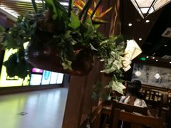 -云海肴云南菜·蒸汽石锅鱼(北京良乡华冠店)