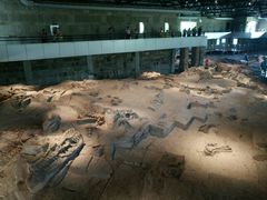 -自贡恐龙博物馆