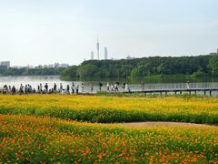 -海珠湖公园