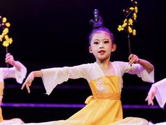 -红舞鞋舞蹈教育(近江校区)