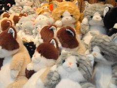 -酷乐潮玩(五道口购物中心店)