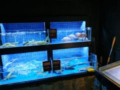 -徐记海鲜(汉城湖|太奥店)
