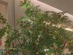 -Aqua Oasis 水天堂(太湖中心mall店)