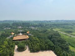 -微山湖红荷湿地景区