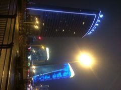 天鹅湖大酒店-天鹅湖大酒店