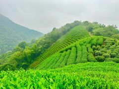 -午潮山国家森林公园