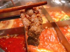 -蜀九香火锅(营口店)