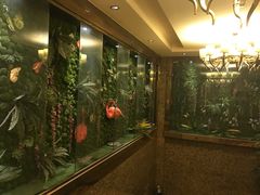 -东方之珠洗浴休闲广场(南开店)