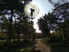 -南湖湿地公园