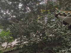 -东江渔村·古典园林·30年粤菜老字号(太和店)