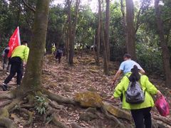 -火炉山森林公园