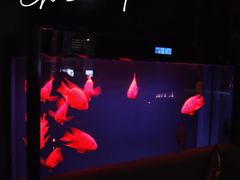 -柒Lounge(三里屯店)