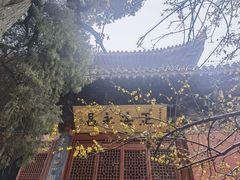 -洛阳白马寺