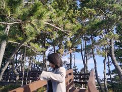 -柱状节理带