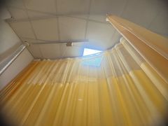 -宝芝林·中医馆(沙坪坝店)