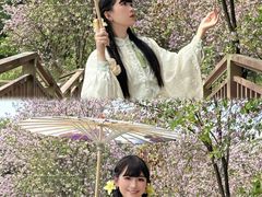 -广东花都湖国家湿地公园