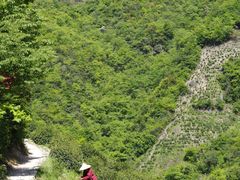 -东白山