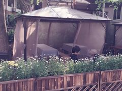 杭州西湖茶墅-西湖茶墅