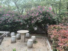 -青岛海滨风景区