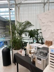 -BOF HAIR BY HONTO