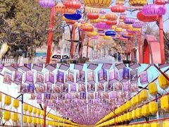 -青龙湖公园