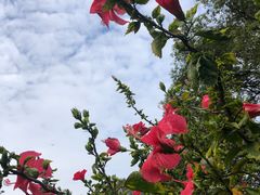 -云溪植物园