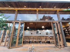 -柠檬花院烤肉·围炉煮茶·草坪团建·生日派对(三圣乡店)