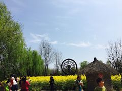 -溱湖国家湿地公园