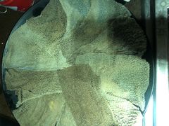 -大妙火锅·非物质文化遗产(东湖公园店)