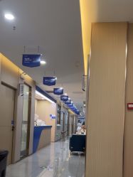-碧莲盛不剃发植发